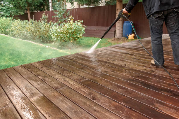 Best Roof Cleaning and Mildew Removal in Somerset, MD